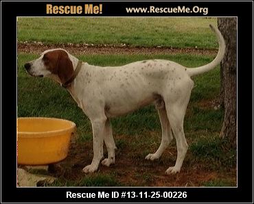 Indiana Dog Rescue ― ADOPTIONS ― RescueMe.Org Indiana Dog Rescue ― ADOPTIONS ― RescueMe.Org
