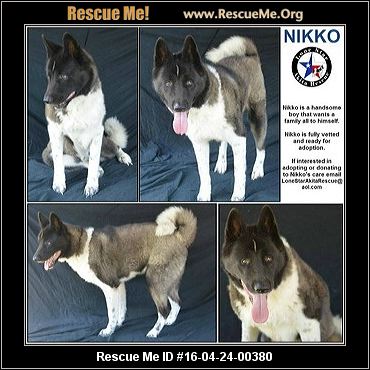 Texas Akita Rescue ― ADOPTIONS ― RescueMe.Org