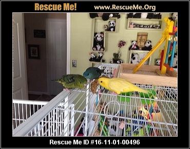 Virginia Bird Rescue ― ADOPTIONS ― RescueMe.Org