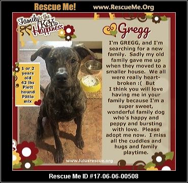 Aggressive Dog Rescue Pennsylvania Aggressive Dog Rescue Pennsylvania