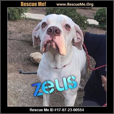 Homeward Bound Dog Rescue Colorado Homeward Bound Dog Rescue Colorado