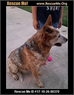 Where Can I Surrender My Dog In Sacramento Ca Where Can I Surrender My Dog In Sacramento Ca
