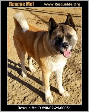 California Akita Rescue ― ADOPTIONS ― RescueMe.Org