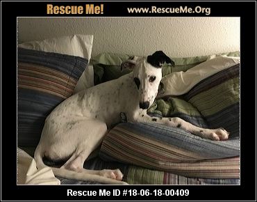 Nebraska Dog Rescue Adoptions Rescue Me