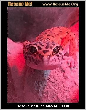 - Washington Reptile/Amphibian Rescue - ADOPTIONS - Rescue Me!
