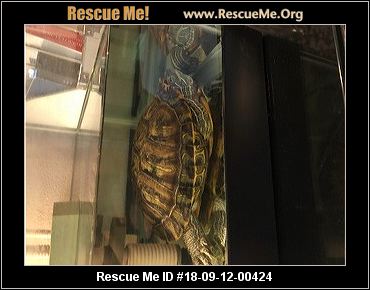 - Washington Reptile/Amphibian Rescue - ADOPTIONS - Rescue Me!