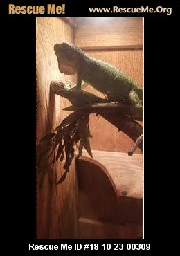 - Oregon Reptile/Amphibian Rescue - ADOPTIONS - Rescue Me!