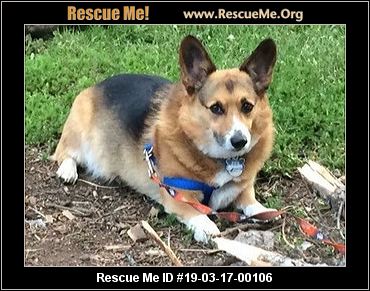 rescue rosco lived entire