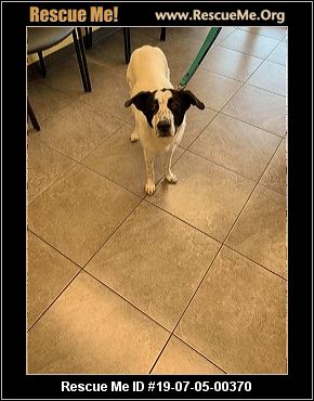- California Border Collie Rescue - ADOPTIONS - Rescue Me!