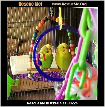 - Tennessee Pet Bird Rescue - ADOPTIONS - Rescue Me!