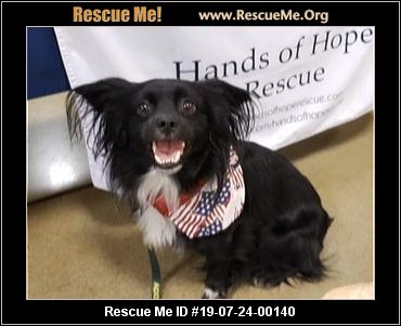- Kansas Dog Rescue - ADOPTIONS - Rescue Me!