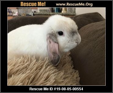 - California Rabbit Rescue - ADOPTIONS - Rescue Me!