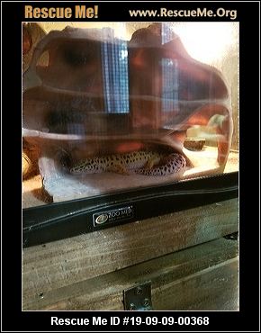 - Oregon Reptile/Amphibian Rescue - ADOPTIONS - Rescue Me!