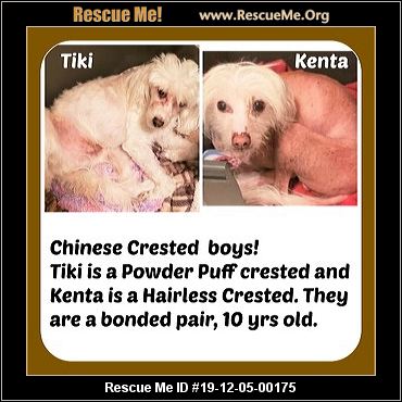 - Arkansas Dog Rescue - ADOPTIONS - Rescue Me!