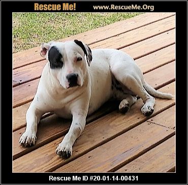 - Georgia Dog Rescue - ADOPTIONS - Rescue Me!