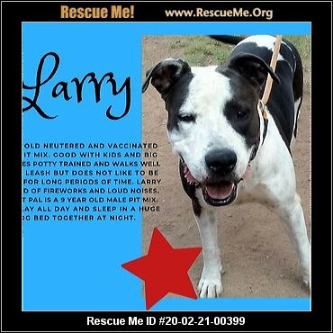 - Arizona Dog Rescue - ADOPTIONS - Rescue Me!