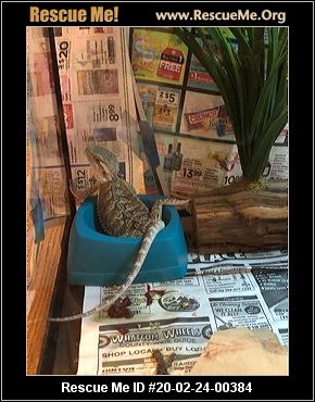 - Washington Reptile/Amphibian Rescue - ADOPTIONS - Rescue Me!