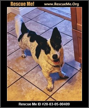 colorado rescueme