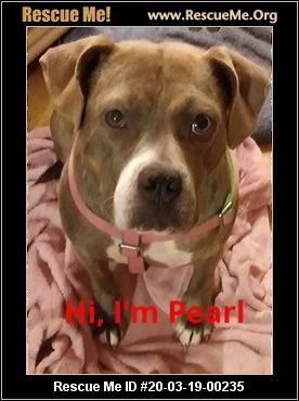 - Georgia Dog Rescue - ADOPTIONS - Rescue Me!