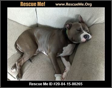 - North Carolina Dog Rescue - ADOPTIONS - Rescue Me!