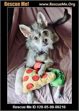 MyImpactPage - Arizona Small Dog Rescue