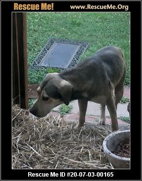 - Georgia Dog Rescue - ADOPTIONS - Rescue Me!