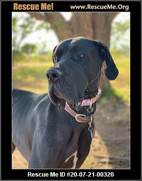 dane rescue stryder