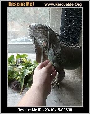 - Oregon Reptile/Amphibian Rescue - ADOPTIONS - Rescue Me!