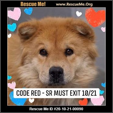 - Nevada Dog Rescue - ADOPTIONS - Rescue Me!