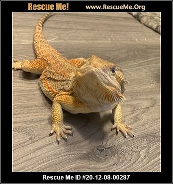 - Florida Reptile/Amphibian Rescue - ADOPTIONS - Rescue Me!