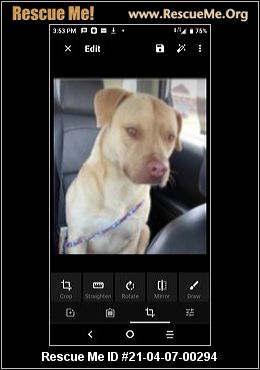 Craigslist Free Pets Albuquerque Nm