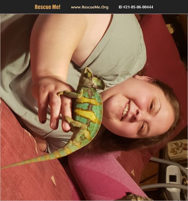 ADOPT 21050600444 Reptile/Amphibian Rescue Fairmont, WV