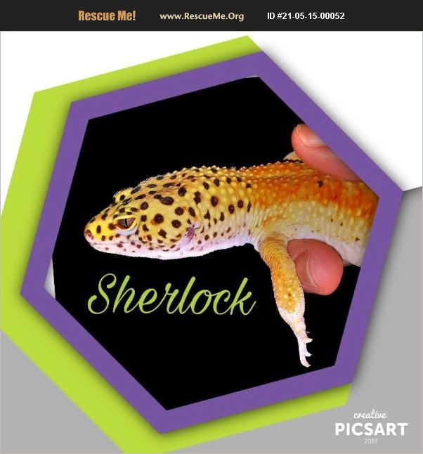 ADOPT 21051500052 Reptile/Amphibian Rescue Edmond, OK