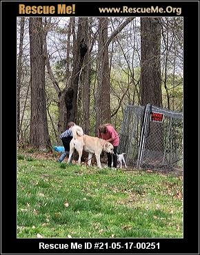 - Maryland Dog Rescue - ADOPTIONS - Rescue Me!