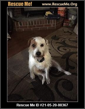 - Maryland Dog Rescue - ADOPTIONS - Rescue Me!