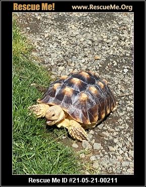 - Oregon Reptile/Amphibian Rescue - ADOPTIONS - Rescue Me!