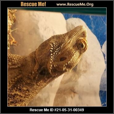 - Oregon Reptile/Amphibian Rescue - ADOPTIONS - Rescue Me!