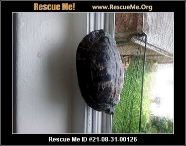 - Pennsylvania Reptile/Amphibian Rescue - ADOPTIONS - Rescue Me!