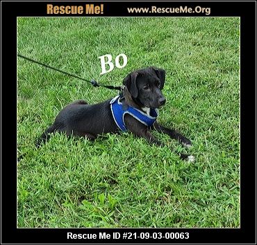 delaware rescued vaccinated kill