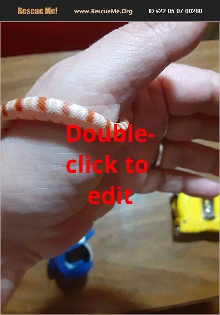 ADOPT 22050700280 ~ Reptile/Amphibian Rescue ~ Streator, IL