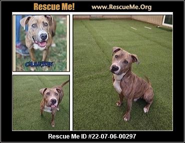 - Pennsylvania Mutt Rescue - ADOPTIONS - Rescue Me!