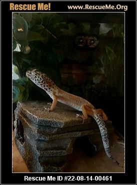 - Oregon Reptile/Amphibian Rescue - ADOPTIONS - Rescue Me!