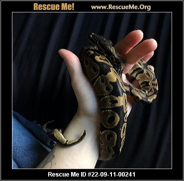 - Oregon Reptile/Amphibian Rescue - ADOPTIONS - Rescue Me!