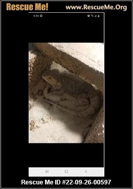 - Oregon Reptile/Amphibian Rescue - ADOPTIONS - Rescue Me!