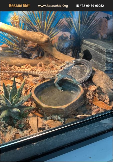 ADOPT 22093000052 ~ Reptile/Amphibian Rescue ~ Secaucus, NJ