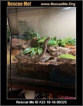 - Oregon Reptile/Amphibian Rescue - ADOPTIONS - Rescue Me!