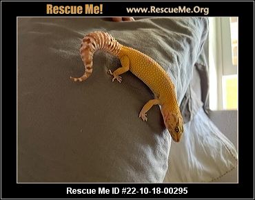 - Oregon Reptile/Amphibian Rescue - ADOPTIONS - Rescue Me!