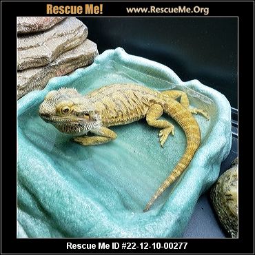 - Oregon Reptile/Amphibian Rescue - ADOPTIONS - Rescue Me!