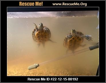 - Rhode Island Reptile/Amphibian Rescue - ADOPTIONS - Rescue Me!