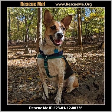 - Maryland Dog Rescue - ADOPTIONS - Rescue Me!